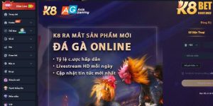 Sơ lược thông tin về sảnh cược casino tại K8