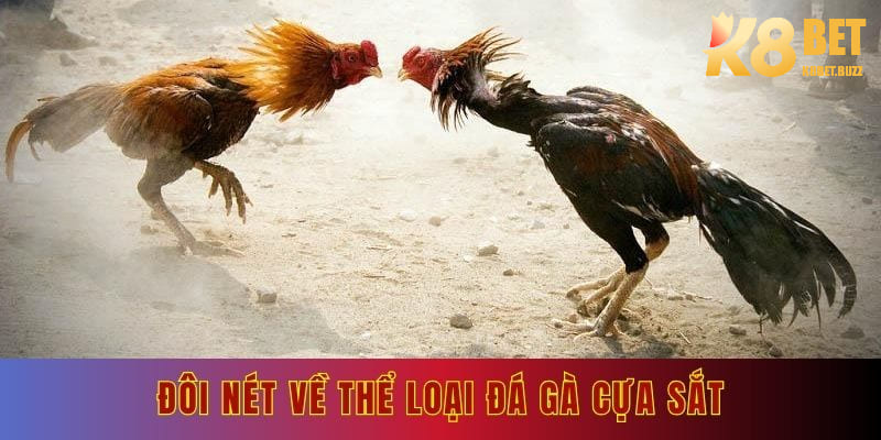 Đôi nét về thể loại đá gà cựa sắt